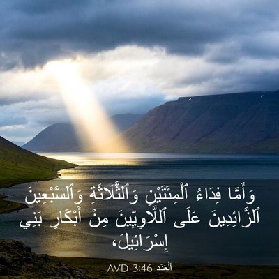 Picture 03 - اَلْعَدَد 3:46 AVD - وَأَمَّا فِدَاءُ - Bible Verse Picture