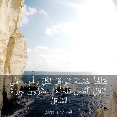 Picture 03 - اَلْعَدَد 3:47 AVD - فَتَأْخُذُ خَمْسَةَ - Bible Verse Picture