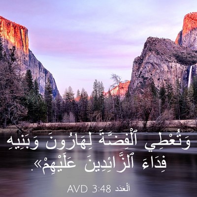 Picture 03 - اَلْعَدَد 3:48 AVD - وَتُعْطِي ٱلْفِضَّةَ - Bible Verse Picture