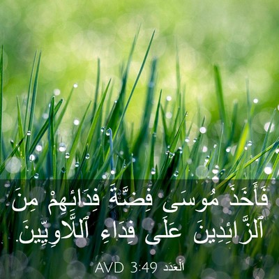 Picture 03 - اَلْعَدَد 3:49 AVD - فَأَخَذَ مُوسَى فِضَّةَ - Bible Verse Picture