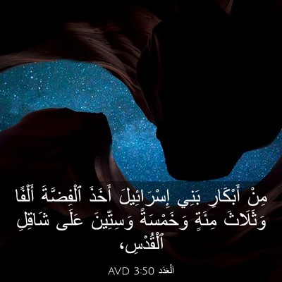 Picture 03 - اَلْعَدَد 3:50 AVD - مِنْ أَبْكَارِ بَنِي - Bible Verse Picture