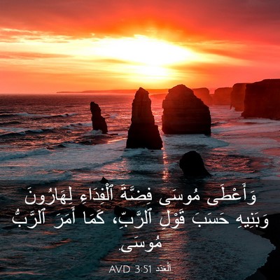 Picture 03 - اَلْعَدَد 3:51 AVD - وَأَعْطَى مُوسَى فِضَّةَ - Bible Verse Picture