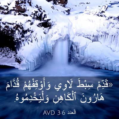 Picture 03 - اَلْعَدَد 3:6 AVD - «قَدِّمْ سِبْطَ لَاوِي - Bible Verse Picture
