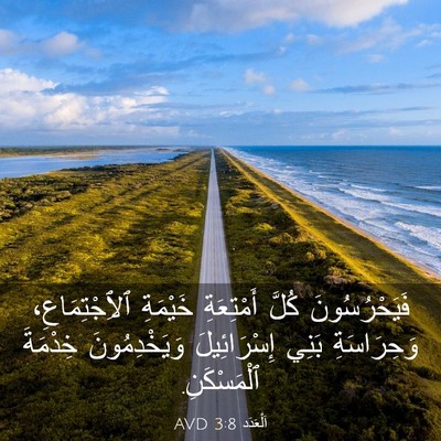 Picture 03 - اَلْعَدَد 3:8 AVD - فَيَحْرُسُونَ كُلَّ - Bible Verse Picture