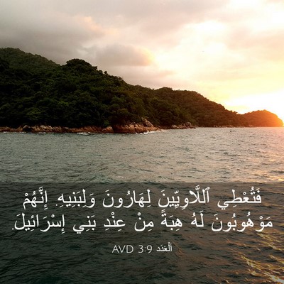 Picture 03 - اَلْعَدَد 3:9 AVD - فَتُعْطِي ٱللَّاوِيِّينَ - Bible Verse Picture