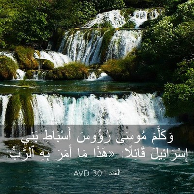 Picture 03 - اَلْعَدَد 30:1 AVD - وَكَلَّمَ مُوسَى رُؤُوسَ - Bible Verse Picture