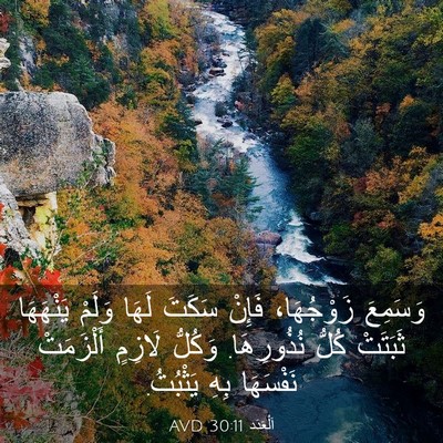 Picture 03 - اَلْعَدَد 30:11 AVD - وَسَمِعَ زَوْجُهَا، - Bible Verse Picture