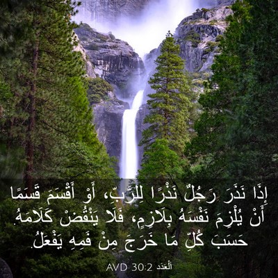 Picture 03 - اَلْعَدَد 30:2 AVD - إِذَا نَذَرَ رَجُلٌ - Bible Verse Picture