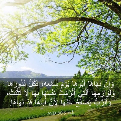 Picture 03 - اَلْعَدَد 30:5 AVD - وَإِنْ نَهَاهَا أَبُوهَا - Bible Verse Picture
