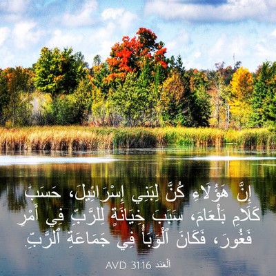 Picture 03 - اَلْعَدَد 31:16 AVD - إِنَّ هَؤُلَاءِ كُنَّ - Bible Verse Picture