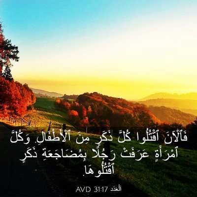 Picture 03 - اَلْعَدَد 31:17 AVD - فَٱلْآنَ ٱقْتُلُوا كُلَّ - Bible Verse Picture
