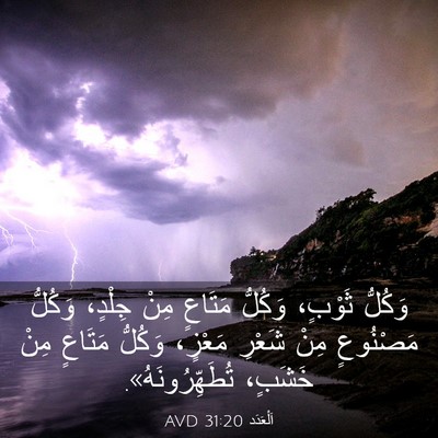 Picture 03 - اَلْعَدَد 31:20 AVD - وَكُلُّ ثَوْبٍ، وَكُلُّ - Bible Verse Picture