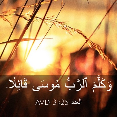 Picture 03 - اَلْعَدَد 31:25 AVD - وَكَلَّمَ ٱلرَّبُّ مُوسَى - Bible Verse Picture