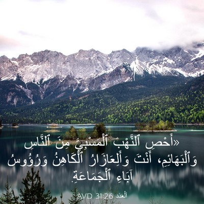 Picture 03 - اَلْعَدَد 31:26 AVD - «أَحْصِ ٱلنَّهْبَ - Bible Verse Picture