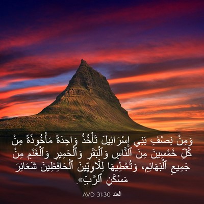 Picture 03 - اَلْعَدَد 31:30 AVD - وَمِنْ نِصْفِ بَنِي - Bible Verse Picture