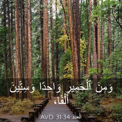 Picture 03 - اَلْعَدَد 31:34 AVD - وَمِنَ ٱلْحَمِيرِ - Bible Verse Picture