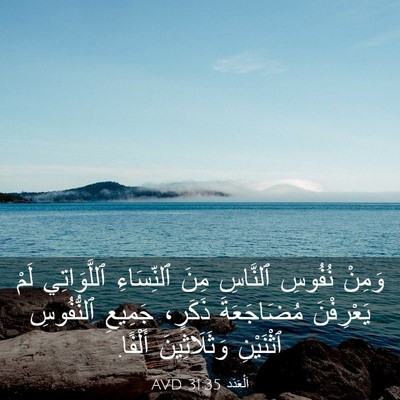 Picture 03 - اَلْعَدَد 31:35 AVD - وَمِنْ نُفُوسِ ٱلنَّاسِ - Bible Verse Picture