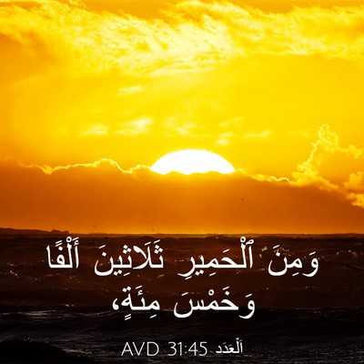 Picture 03 - اَلْعَدَد 31:45 AVD - وَمِنَ ٱلْحَمِيرِ - Bible Verse Picture
