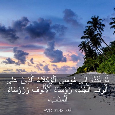 Picture 03 - اَلْعَدَد 31:48 AVD - ثُمَّ تَقَدَّمَ إِلَى - Bible Verse Picture