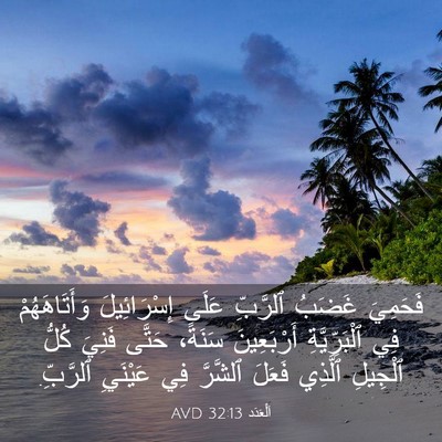 Picture 03 - اَلْعَدَد 32:13 AVD - فَحَمِيَ غَضَبُ ٱلرَّبِّ - Bible Verse Picture