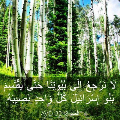 Picture 03 - اَلْعَدَد 32:18 AVD - لَا نَرْجِعُ إِلَى - Bible Verse Picture