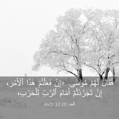 Picture 03 - اَلْعَدَد 32:20 AVD - فَقَالَ لَهُمْ مُوسَى: - Bible Verse Picture
