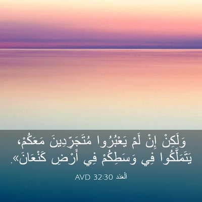 Picture 03 - اَلْعَدَد 32:30 AVD - وَلَكِنْ إِنْ لَمْ - Bible Verse Picture