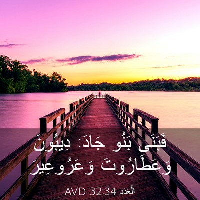 Picture 03 - اَلْعَدَد 32:34 AVD - فَبَنَى بَنُو جَادَ: - Bible Verse Picture