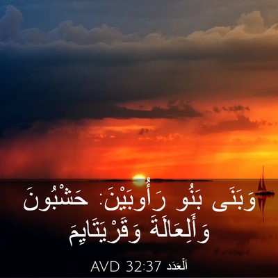 Picture 03 - اَلْعَدَد 32:37 AVD - وَبَنَى بَنُو رَأُوبَيْنَ: - Bible Verse Picture