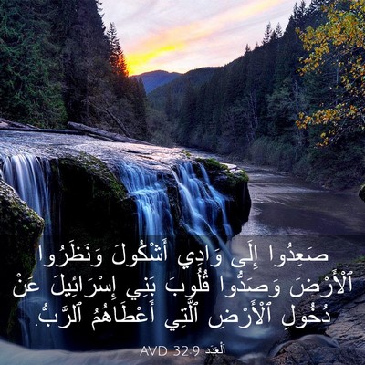 Picture 03 - اَلْعَدَد 32:9 AVD - صَعِدُوا إِلَى وَادِي - Bible Verse Picture