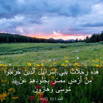Picture 03 - اَلْعَدَد 33:1 AVD - هَذِهِ رِحْلَاتُ بَنِي - Bible Verse Picture