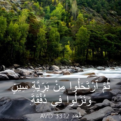 Picture 03 - اَلْعَدَد 33:12 AVD - ثُمَّ ٱرْتَحَلُوا مِنْ - Bible Verse Picture