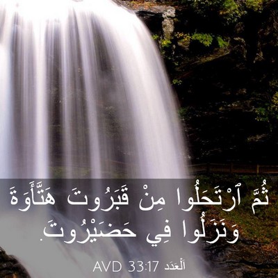 Picture 03 - اَلْعَدَد 33:17 AVD - ثُمَّ ٱرْتَحَلُوا مِنْ - Bible Verse Picture
