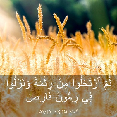 Picture 03 - اَلْعَدَد 33:19 AVD - ثُمَّ ٱرْتَحَلُوا مِنْ - Bible Verse Picture