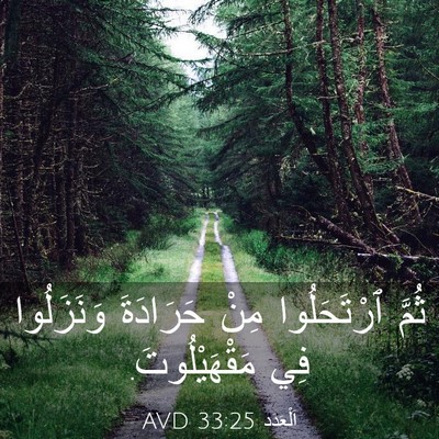 Picture 03 - اَلْعَدَد 33:25 AVD - ثُمَّ ٱرْتَحَلُوا مِنْ - Bible Verse Picture