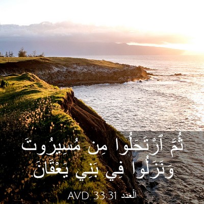 Picture 03 - اَلْعَدَد 33:31 AVD - ثُمَّ ٱرْتَحَلُوا مِن - Bible Verse Picture