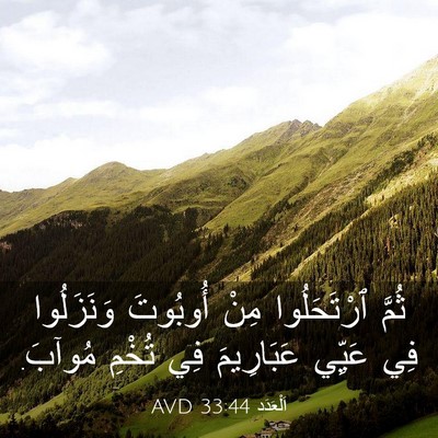 Picture 03 - اَلْعَدَد 33:44 AVD - ثُمَّ ٱرْتَحَلُوا مِنْ - Bible Verse Picture