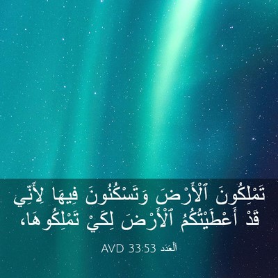 Picture 03 - اَلْعَدَد 33:53 AVD - تَمْلِكُونَ ٱلْأَرْضَ - Bible Verse Picture