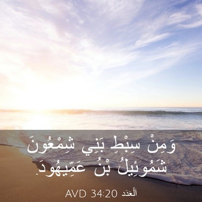 Picture 03 - اَلْعَدَد 34:20 AVD - وَمِنْ سِبْطِ بَنِي - Bible Verse Picture