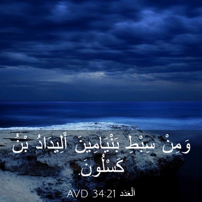 Picture 03 - اَلْعَدَد 34:21 AVD - وَمِنْ سِبْطِ - Bible Verse Picture