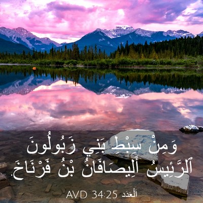 Picture 03 - اَلْعَدَد 34:25 AVD - وَمِنْ سِبْطِ بَنِي - Bible Verse Picture