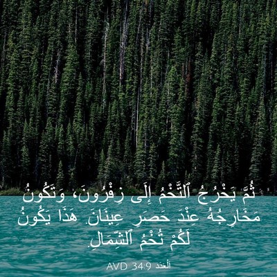 Picture 03 - اَلْعَدَد 34:9 AVD - ثُمَّ يَخْرُجُ ٱلتَّخْمُ - Bible Verse Picture
