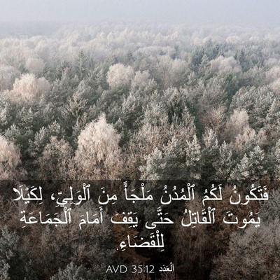Picture 03 - اَلْعَدَد 35:12 AVD - فَتَكُونُ لَكُمُ - Bible Verse Picture