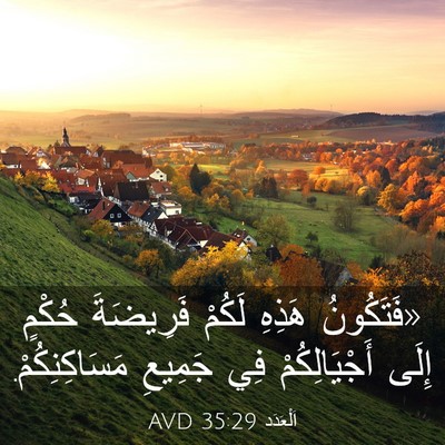 Picture 03 - اَلْعَدَد 35:29 AVD - «فَتَكُونُ هَذِهِ لَكُمْ - Bible Verse Picture
