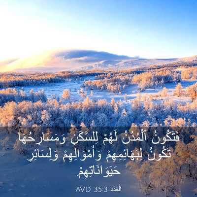 Picture 03 - اَلْعَدَد 35:3 AVD - فَتَكُونُ ٱلْمُدُنُ - Bible Verse Picture