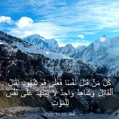 Picture 03 - اَلْعَدَد 35:30 AVD - كُلُّ مَنْ قَتَلَ نَفْسًا - Bible Verse Picture