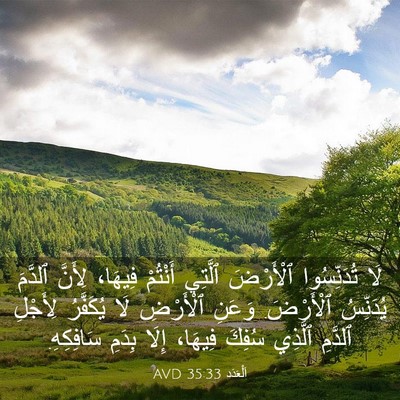 Picture 03 - اَلْعَدَد 35:33 AVD - لَا تُدَنِّسُوا ٱلْأَرْضَ - Bible Verse Picture