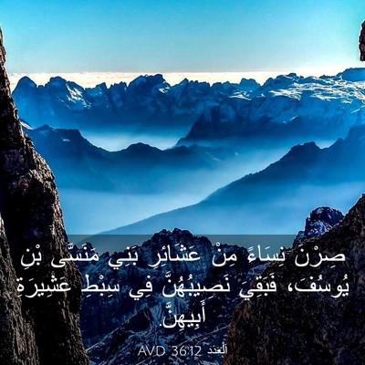 Picture 03 - اَلْعَدَد 36:12 AVD - صِرْنَ نِسَاءً مِنْ - Bible Verse Picture