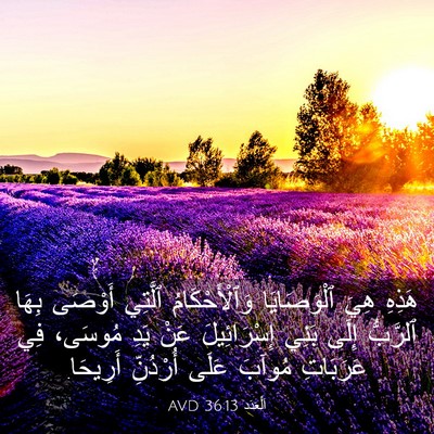 Picture 03 - اَلْعَدَد 36:13 AVD - هَذِهِ هِيَ ٱلْوَصَايَا - Bible Verse Picture