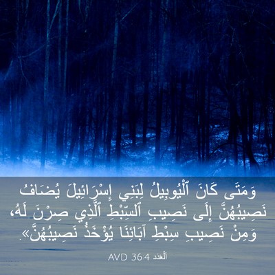 Picture 03 - اَلْعَدَد 36:4 AVD - وَمَتَى كَانَ ٱلْيُوبِيلُ - Bible Verse Picture